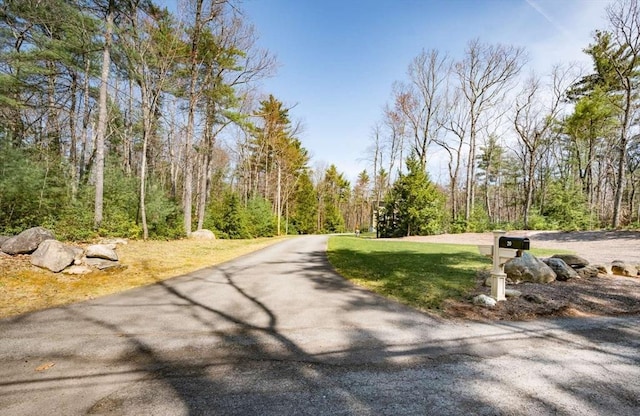 20 Warner Rd, Townsend, MA 01469 - view of road featuring a view of trees