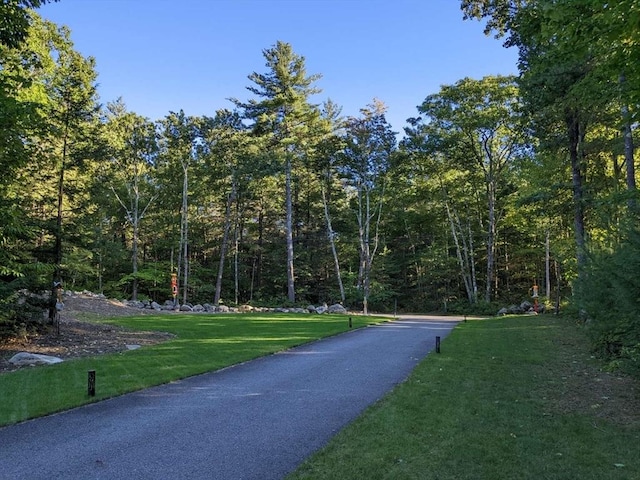 20 Warner Rd, Townsend, MA 01469 - view of road with a view of trees