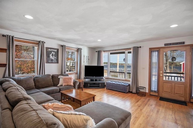 living room featuring light hardwood / wood-style floors and a healthy amount of sunlight