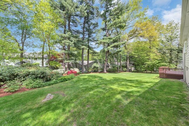 27 Lantern Ln, Arlington, MA 02474 - view of green lawn featuring a wooden deck