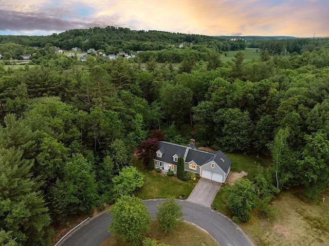 7 Humiston Cir, Westford, MA 01886 - aerial view at dusk of a forest view