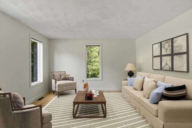 7 Humiston Cir, Westford, MA 01886 - living area with healthy amount of natural light, baseboards, and wood finished floors