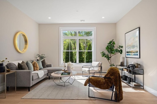 1 Cross St Unit 205, Wilmington, MA 01887 - living room with wood finished floors, baseboards, and recessed lighting