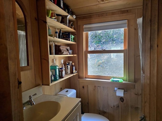 60 Camp Rd, Leverett, MA 01054 - bathroom with vanity, toilet, wood walls, and a wealth of natural light