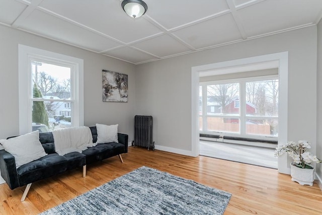 living room with wood-type flooring, radiator, and coffered ceiling