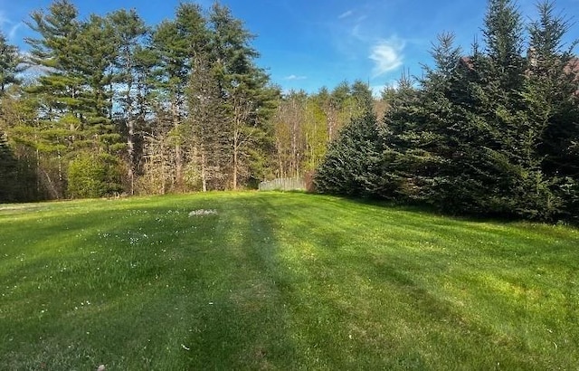 1472 Pleasant St, Athol, MA 01331 - view of grassy yard featuring a forest view