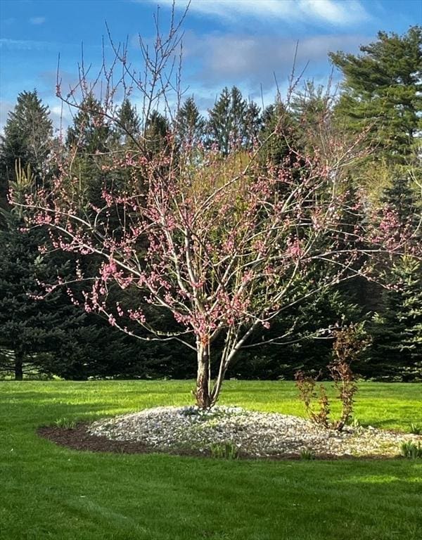 1472 Pleasant St, Athol, MA 01331 - view of grassy yard