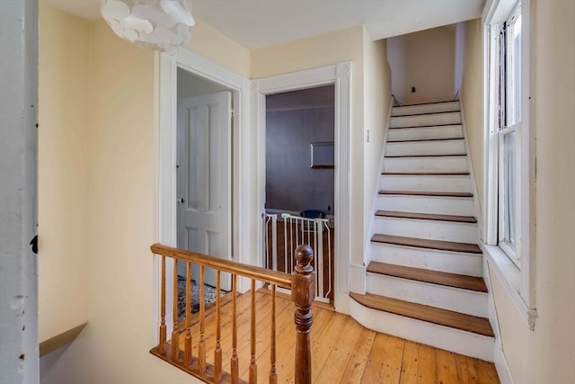 stairway featuring hardwood / wood-style floors and an inviting chandelier