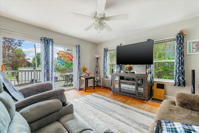 1241 Riverside Ave, Somerset, MA 02726 - living room with radiator, wood finished floors, and ceiling fan
