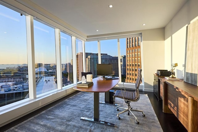 office space with dark hardwood / wood-style flooring