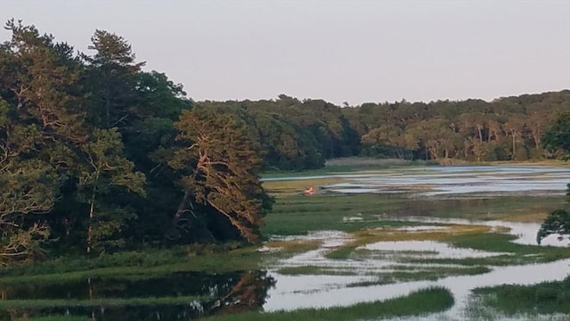 15 Wales Dr, Bourne, MA 02559 - water view featuring a heavily wooded area