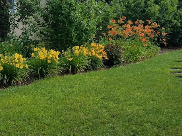 15 Wales Dr, Bourne, MA 02559 - view of grassy yard