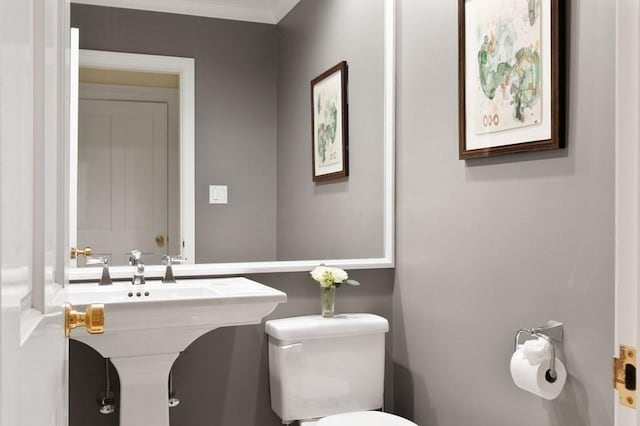 bathroom with ornamental molding and toilet