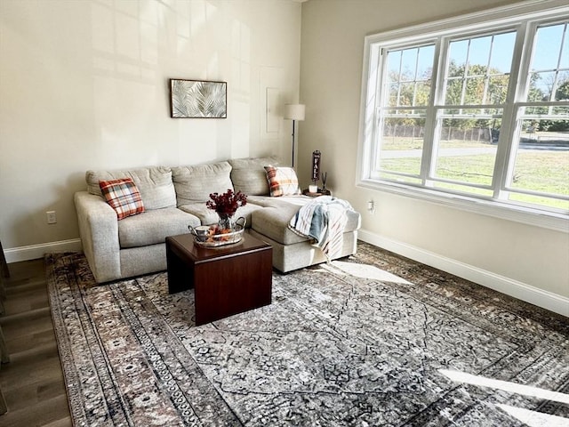 living room featuring hardwood / wood-style flooring and plenty of natural light