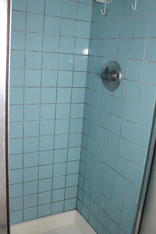 143 Branch St, Lowell, MA 01851 - full bath with tiled shower