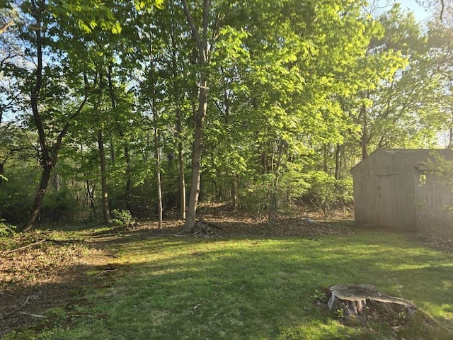 217 Mill St, Randolph, MA 02368