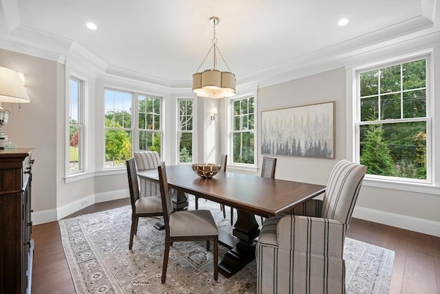 dining area featuring baseboards, dark wood-type flooring, and crown molding