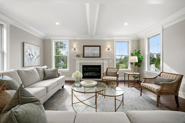 living area with ornamental molding, a glass covered fireplace, a healthy amount of sunlight, and wood finished floors