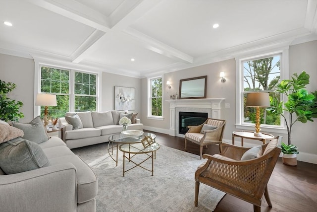 living area featuring wood finished floors, a glass covered fireplace, a wealth of natural light, and beamed ceiling