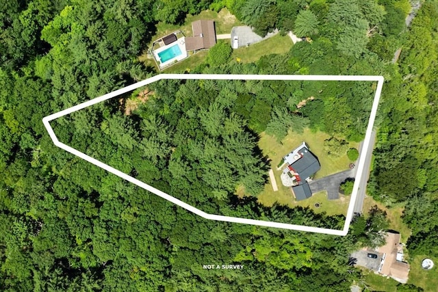 38 Manchaug Rd, Sutton, MA 01590 - aerial view of property's location with property boundaries highlighted and a forest