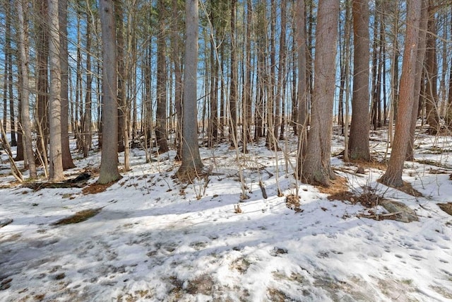 view of snowy landscape