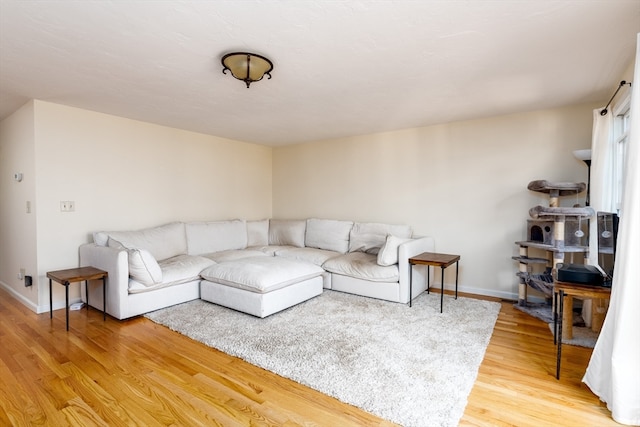 living room with wood-type flooring