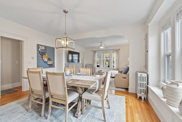 dining room with baseboards, ceiling fan, radiator heating unit, light wood-type flooring, and arched walkways