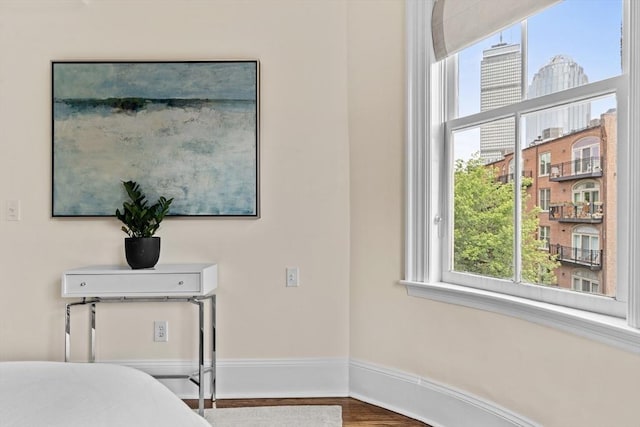 19 Greenwich Park Unit 5, Boston, MA 02118 - bedroom with a city view and wood finished floors