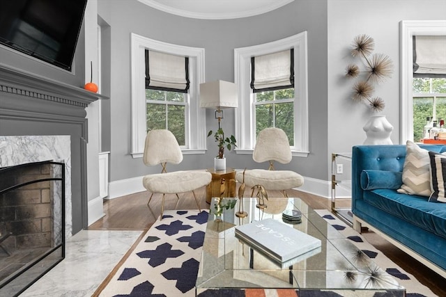 19 Greenwich Park Unit 5, Boston, MA 02118 - living area featuring a premium fireplace and ornamental molding