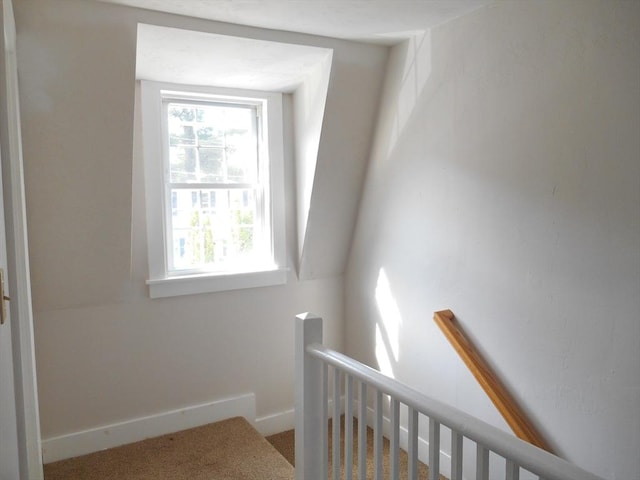 23 Trafalgar Sq Unit 23, Barre, MA 01005 - stairway with carpet flooring and baseboards