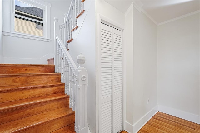1 Melville St, Worcester, MA 01605 - stairs featuring ornamental molding, wood finished floors, and baseboards
