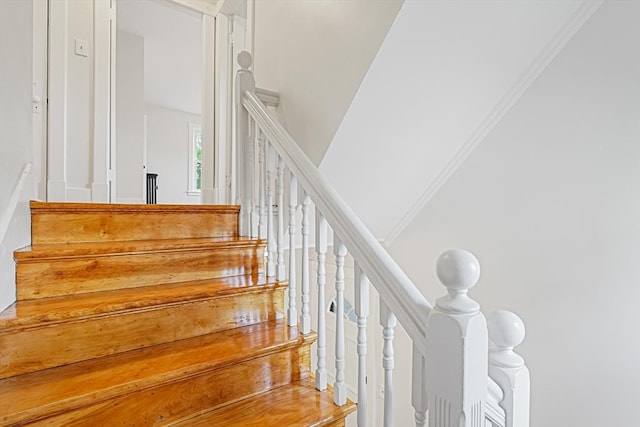 1 Melville St, Worcester, MA 01605 - view of staircase