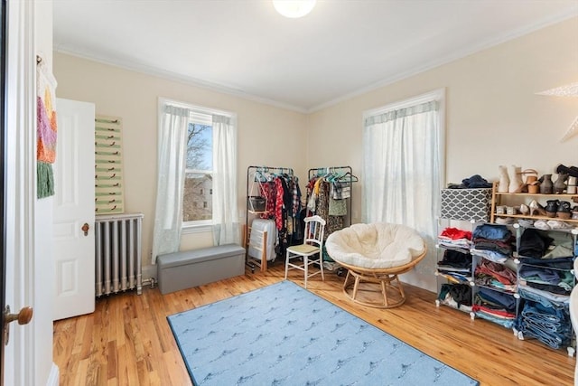 living area with ornamental molding, radiator heating unit, and light wood-style flooring