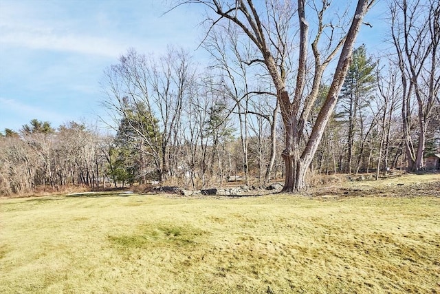 view of yard featuring a forest view