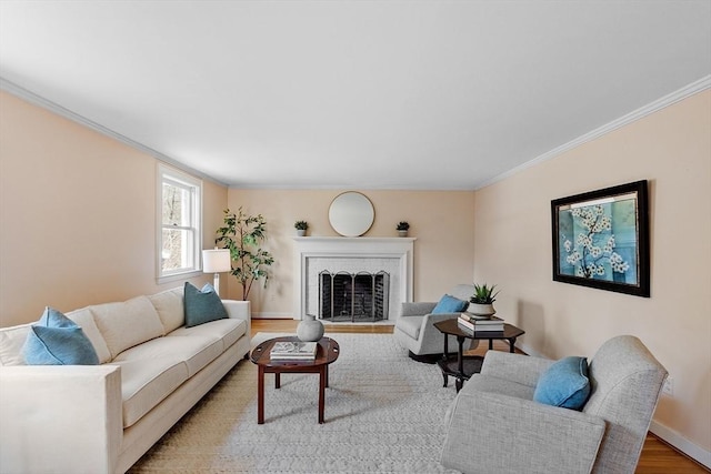 living area featuring baseboards, light wood-style floors, ornamental molding, and a fireplace