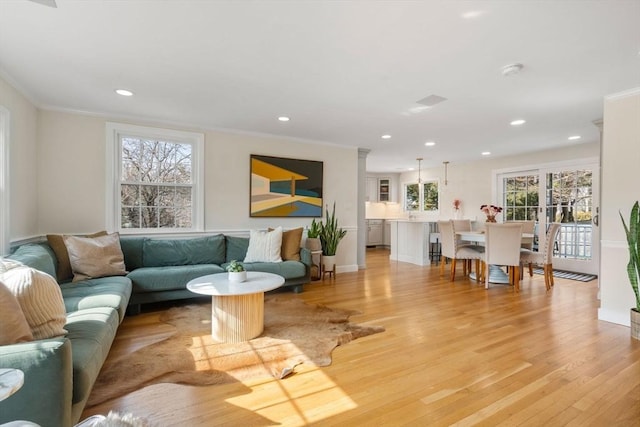 living room with a healthy amount of sunlight, light wood finished floors, and crown molding