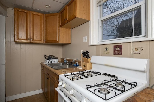 kitchen featuring hardwood / wood-style flooring, sink, and white gas stove