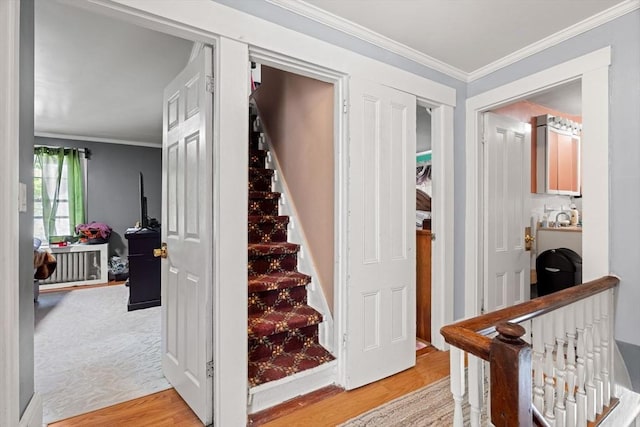 staircase featuring wood finished floors and crown molding