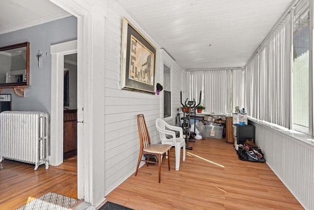 sunroom / solarium featuring radiator