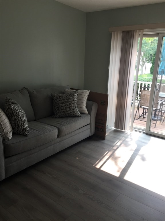 living room featuring dark wood-type flooring