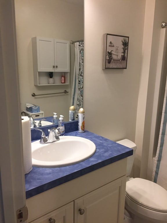 bathroom featuring vanity, toilet, and curtained shower