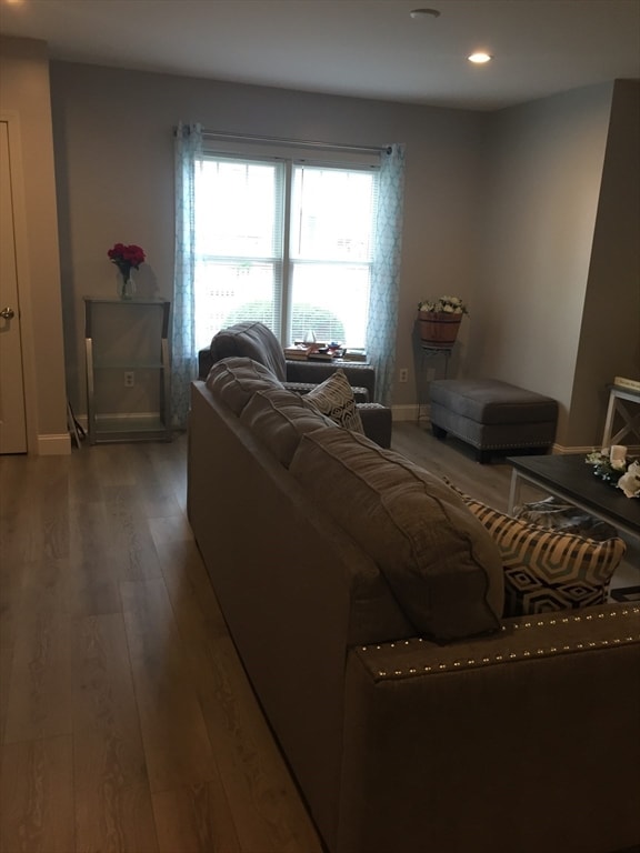 living room featuring hardwood / wood-style floors