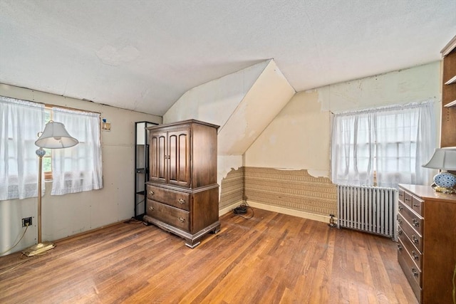 205 River St, Braintree, MA 02184 - additional living space featuring radiator, vaulted ceiling, wood finished floors, and plenty of natural light
