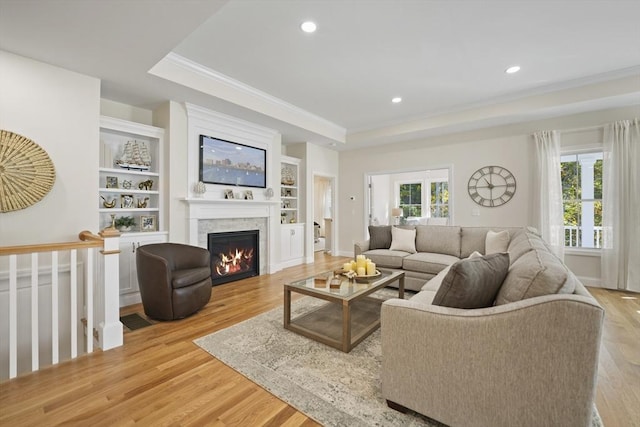 living room featuring a healthy amount of sunlight, a raised ceiling, and light hardwood / wood-style floors