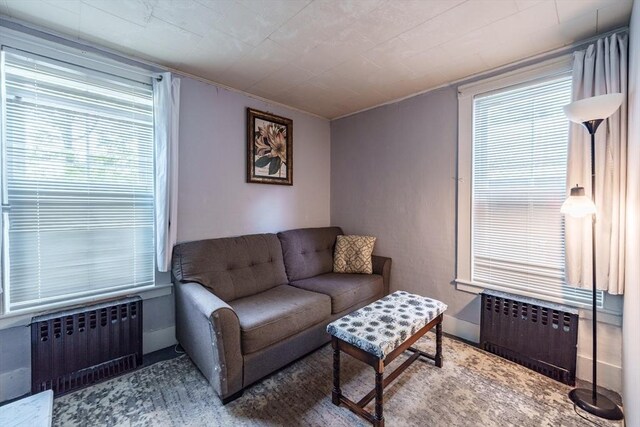 6 Oak St, Monson, MA 01057 - living room featuring radiator heating unit and baseboards