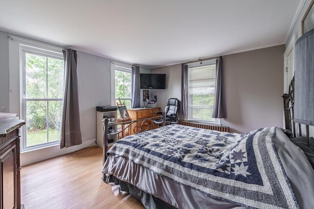 6 Oak St, Monson, MA 01057 - bedroom with light wood-style floors and crown molding