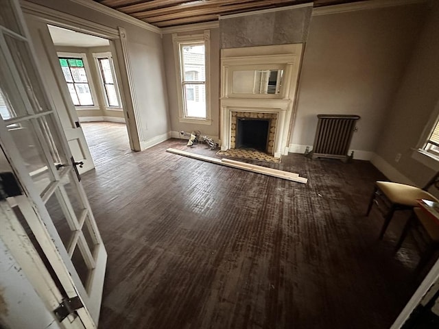 205 Saint James Ave, Springfield, MA 01109 - unfurnished living room featuring ornamental molding, a fireplace, healthy amount of natural light, and wood finished floors