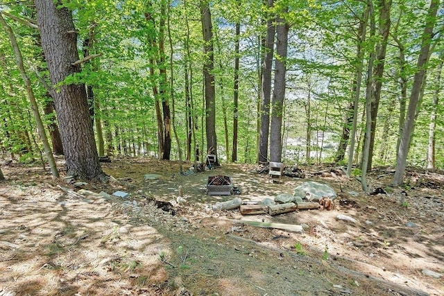 view of local wilderness