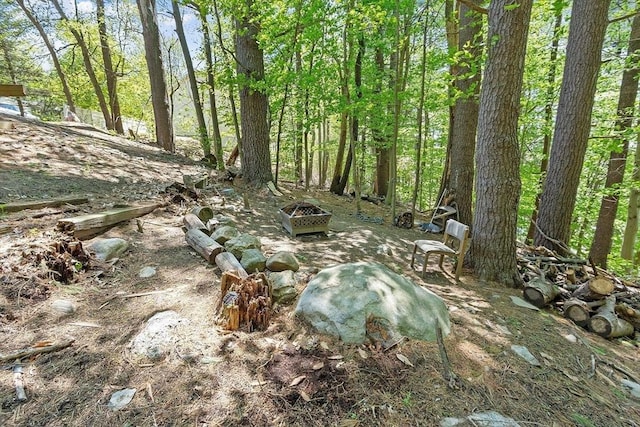 view of local wilderness