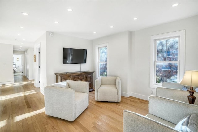 living room with light wood-type flooring